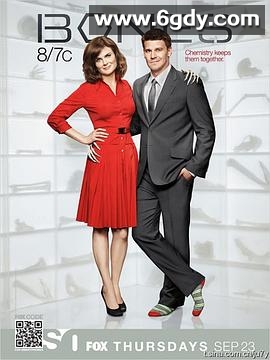 识骨寻踪 第六季(2010)完结23集全迅雷网盘全集下载