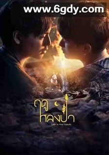 爱在森林里(2025)完结7集全迅雷网盘全集下载