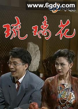 琉璃花(1992)完结已完结迅雷网盘全集下载
