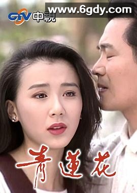青莲花(1994)完结已完结迅雷网盘全集下载