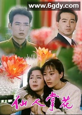 仙人掌花(1993)完结已完结迅雷网盘全集下载