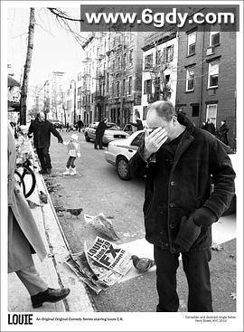 路易不容易 第一季(2010)完结已完结迅雷网盘全集下载