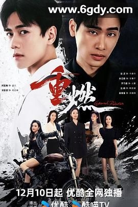 重燃(2024)完结24集全迅雷网盘全集下载