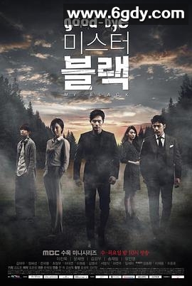 再见，布莱克先生(2016)完结20集全迅雷网盘全集下载