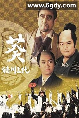 葵德川三代(2000)完结已完结迅雷网盘全集下载