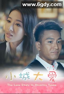 小城大爱系列剧(2016)完结已完结迅雷网盘全集下载