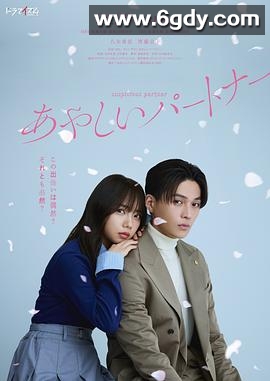 奇怪的搭档(2025)完结12集全迅雷网盘全集下载