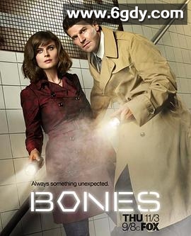 识骨寻踪 第七季(2011)完结13集全迅雷网盘全集下载