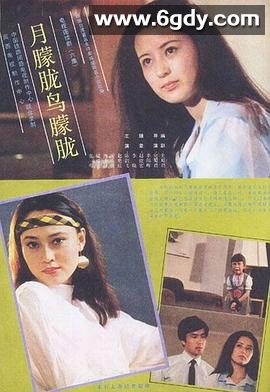 月朦胧鸟朦胧(1986)完结已完结迅雷网盘全集下载