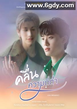 爱情频率(2023)完结已完结迅雷网盘全集下载