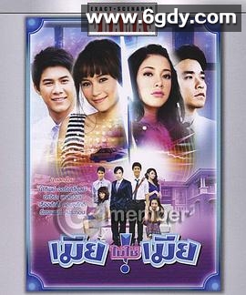 假扮夫妻(2011)完结已完结迅雷网盘全集下载