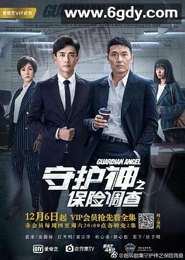 守护神之保险调查(2018)完结全36集迅雷网盘全集下载