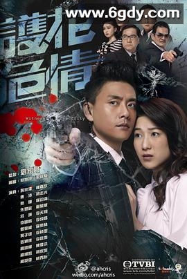 护花危情(2012)完结20集全迅雷网盘全集下载
