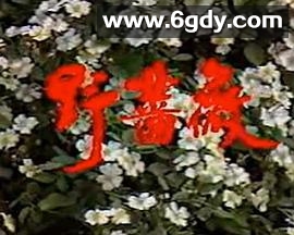 野蔷薇(1991)完结全7集迅雷网盘全集下载