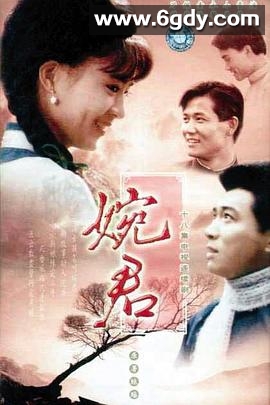 婉君(1990)完结已完结迅雷网盘全集下载