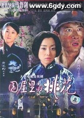 围屋里的桃花(2008)完结已完结迅雷网盘全集下载