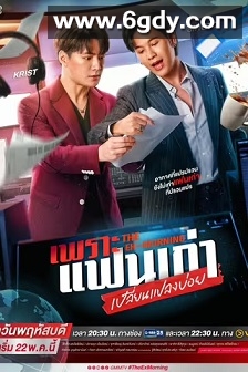 旧爱复燃(2025)完结10集全迅雷网盘全集下载