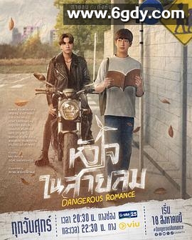 危险之爱(2023)完结已完结迅雷网盘全集下载