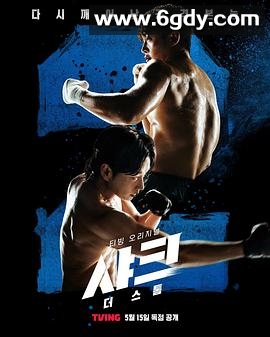 鲨鱼：风暴(2025)完结全6集迅雷网盘全集下载