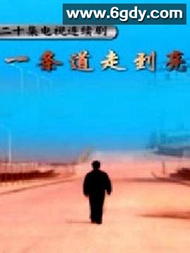 一条道走到亮(2003)完结全20集迅雷网盘全集下载