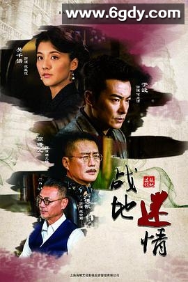 战地迷情(2019)完结已完结迅雷网盘全集下载