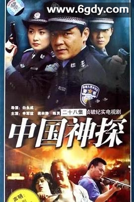 中国神探(2008)完结已完结迅雷网盘全集下载