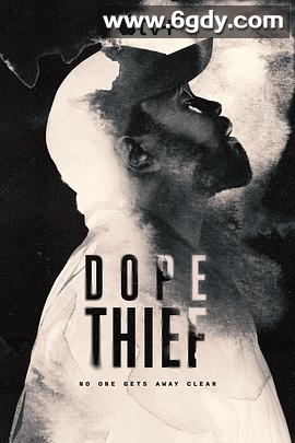 毒窃之徒(2025)完结8集全迅雷网盘全集下载