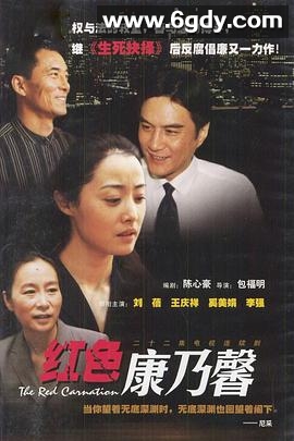 红色康乃馨(2000)完结全22集迅雷网盘全集下载