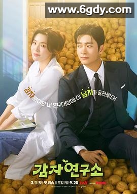 爱情发芽中(2025)完结12集全迅雷网盘全集下载