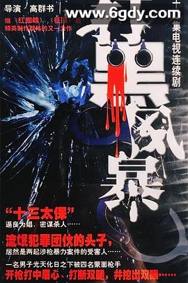 打黑风暴(2003)完结已完结迅雷网盘全集下载
