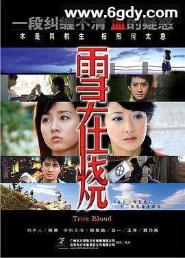 雪在烧(2007)完结已完结迅雷网盘全集下载