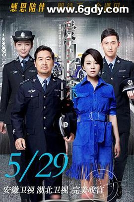 爱的追踪(2016)完结已完结迅雷网盘全集下载