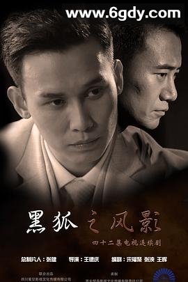 黑狐之风影(2016)完结已完结迅雷网盘全集下载