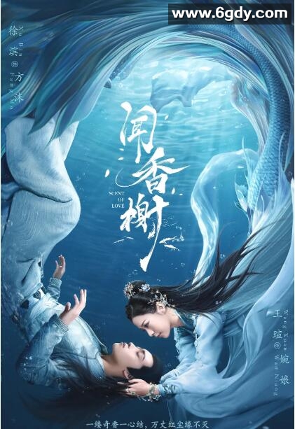 闻香榭(2022)完结全14集迅雷网盘全集下载