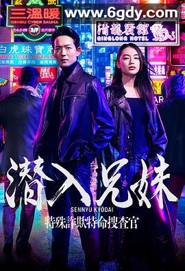 潜入兄妹特殊诈欺特命搜查官(2024)完结已完结迅雷网盘全集下载