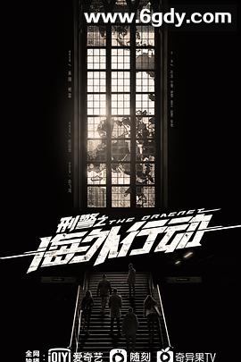 刑警之海外行动(2021)完结38集全迅雷网盘全集下载