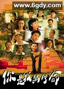 你是我的生命(2010)完结40集全迅雷网盘全集下载