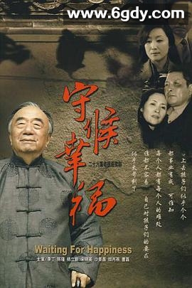 守候幸福(2007)完结已完结迅雷网盘全集下载