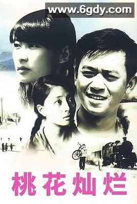 桃花灿烂(2007)完结全21集迅雷网盘全集下载