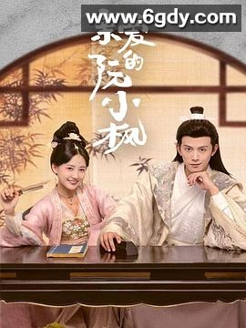 亲爱的阮小枫(2025)完结20集全迅雷网盘全集下载