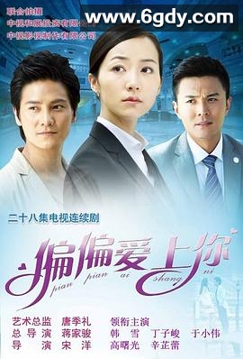 偏偏爱上你(2012)完结已完结迅雷网盘全集下载