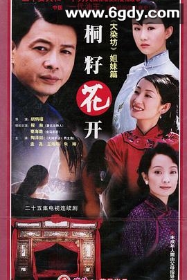 桐籽花开(2003)完结全25集迅雷网盘全集下载