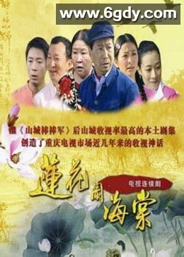 莲花闹海棠(2008)完结全24集迅雷网盘全集下载