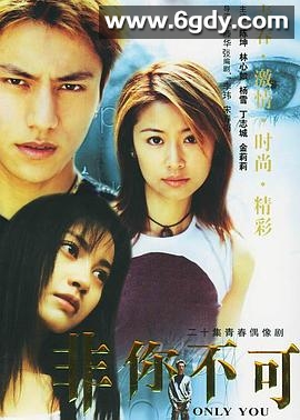 非你不可(2001)完结更新第20集迅雷网盘全集下载