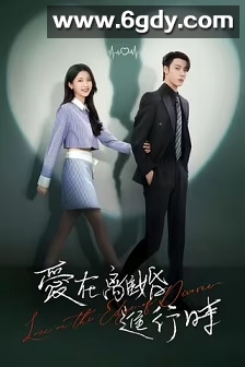爱在离婚进行时(2025)完结31集全迅雷网盘全集下载