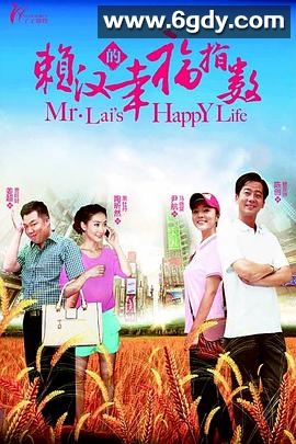 赖汉的幸福指数(2012)完结已完结迅雷网盘全集下载