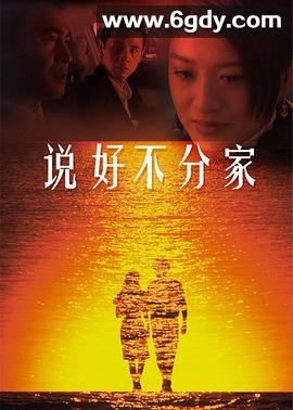 说好不分家(2008)完结全22集迅雷网盘全集下载