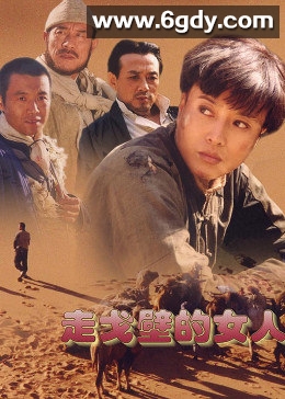 走戈壁的女人(2000)完结已完结迅雷网盘全集下载