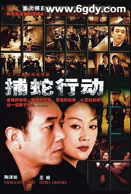 捕蛇行动(2005)完结已完结迅雷网盘全集下载