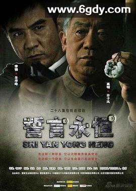 誓言永恒(2009)完结已完结迅雷网盘全集下载